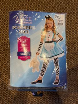 Alice in Wonderland Costume