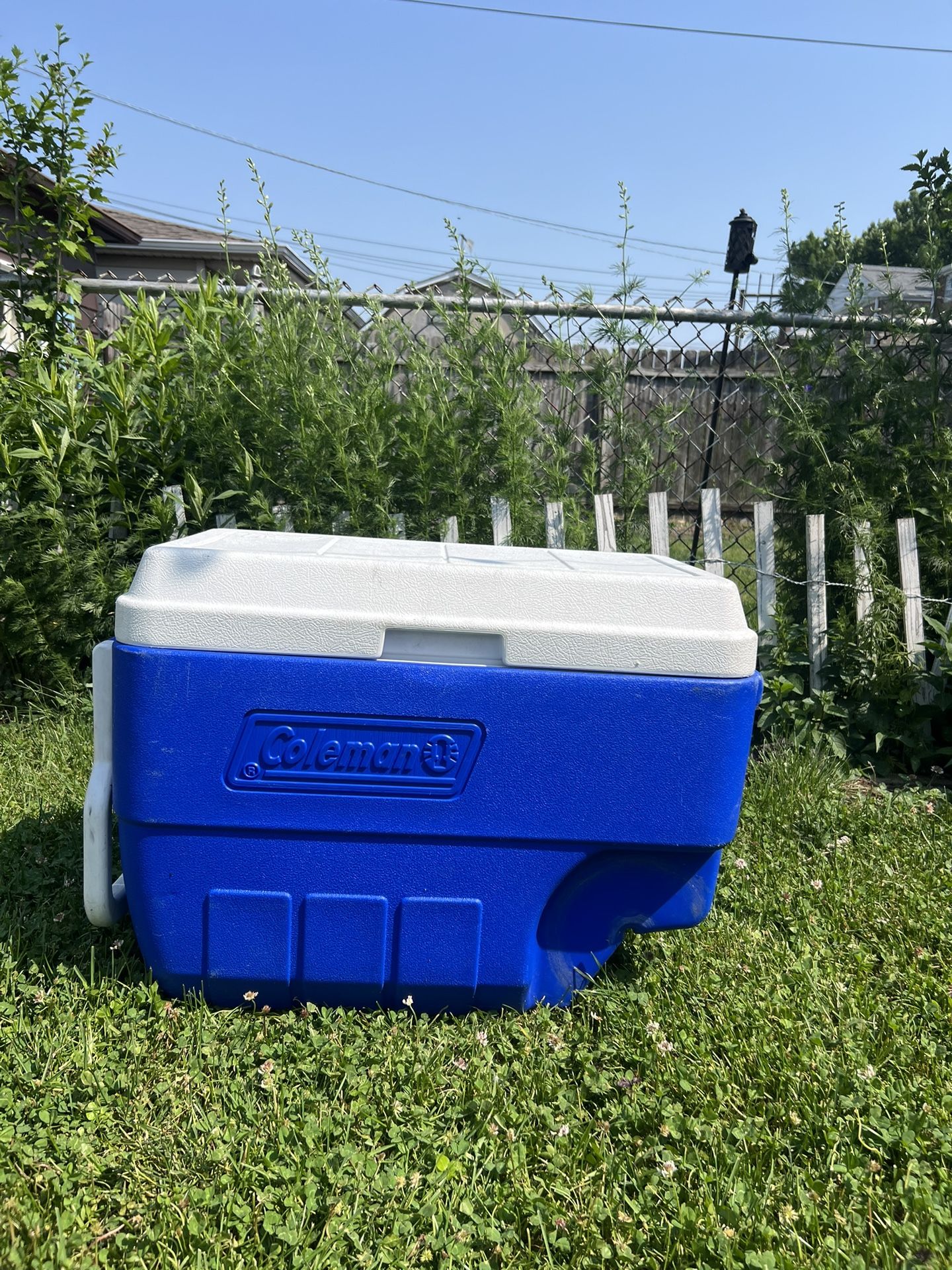 Cooler
