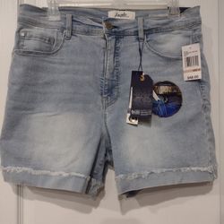 High Rise Shorts 