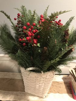 Christmas 🎄 decor