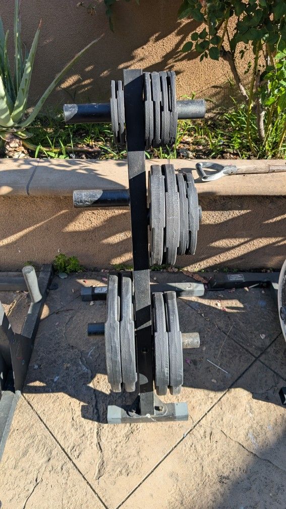 Weight Plates 255lbs