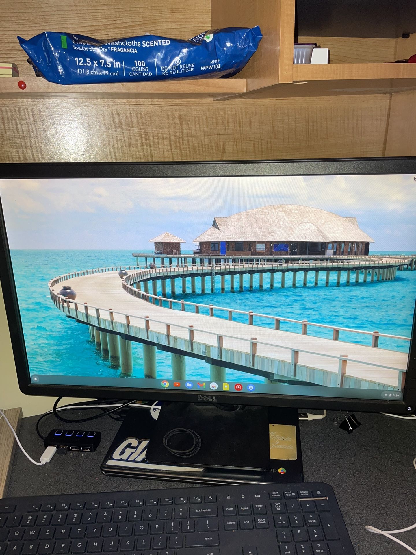Dell Monitor