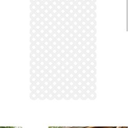 Lattice white Pieces 