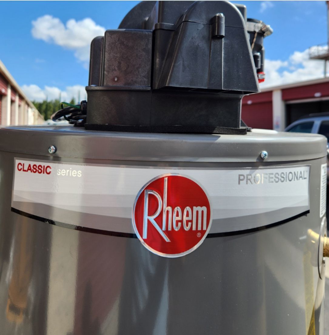 Water Heater RHEEM PROG50 42N RH67 PV PROFESSIONAL