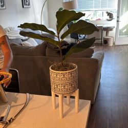 Fake Plant And Vase