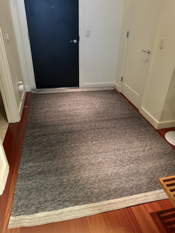 9X6 Crate and Barrel Rug