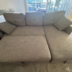 Grey Sectional Sofa bed