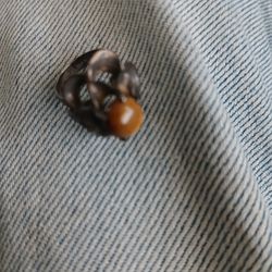 Tigers Eye, Silver Ring