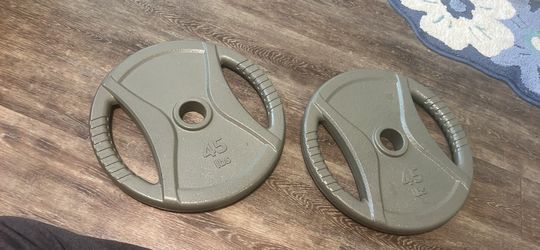 Two 45lb weights/plates