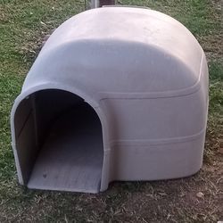 Dog House