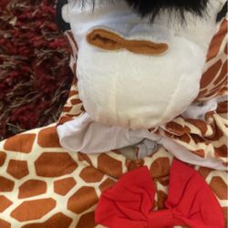 Costume