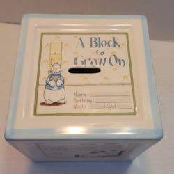 Perine Lowe Baby Boy Milestone Bank 