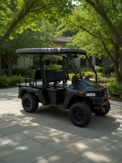 2025 4x4 Gas Golf Cart (450 Ranchero) in like new condition