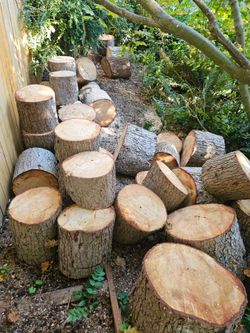 Firewood,  Fire wood, free