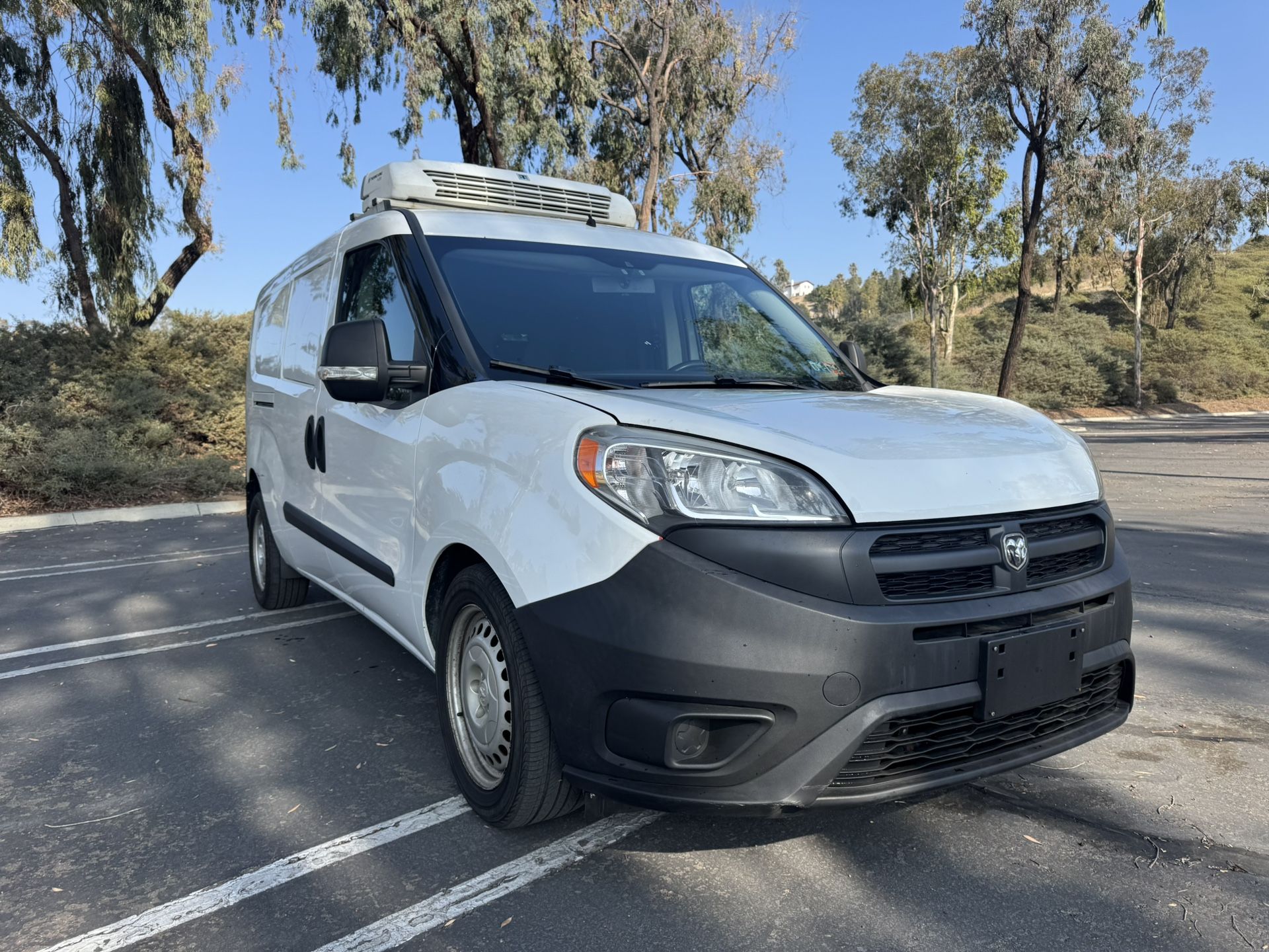 Reefer Refrigerated Ram Promaster City