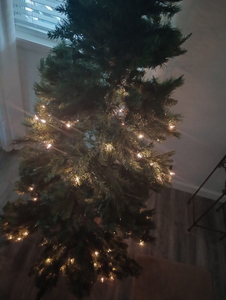 6-ft Christmas Tree With Lights