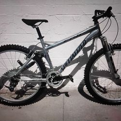 Silver Epic MTB 