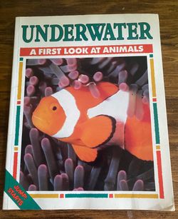 Underwater (Jump! Starts) Children’s Book – Sea Animals Paperback
