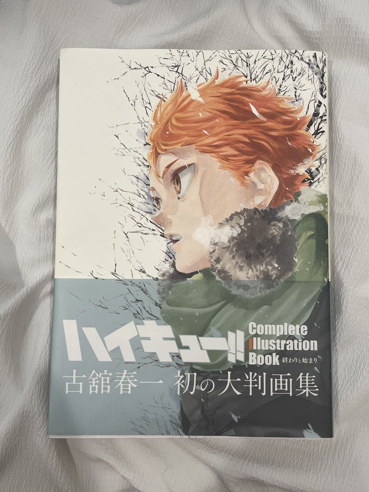 Haikyuu Complete Illustration Book