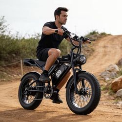 27.9 mph 20*4.0 big wheel electric mountain bike, 749W 65 miles, 48V 20Ah
