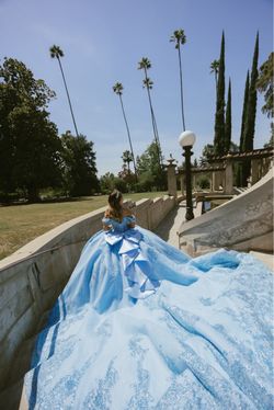 Quinceañera dress
