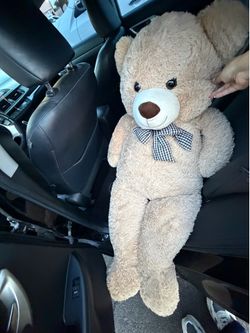 Teddy bear