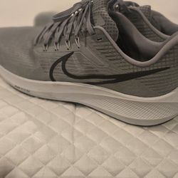 Nike Pegasus 39 (10.5)