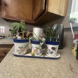 Home Interior Pot Plants 20$ With Plants 15$ With not Plants 