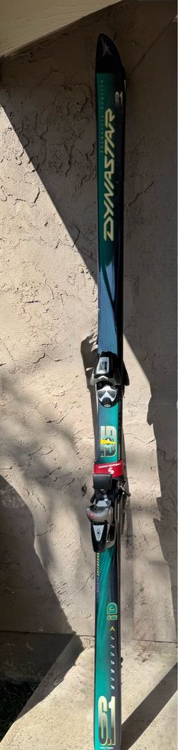 Vintage skis with bag