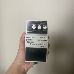 Boss noise suppressor NS-2