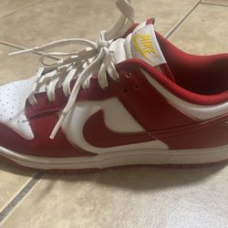 Nike Dunks