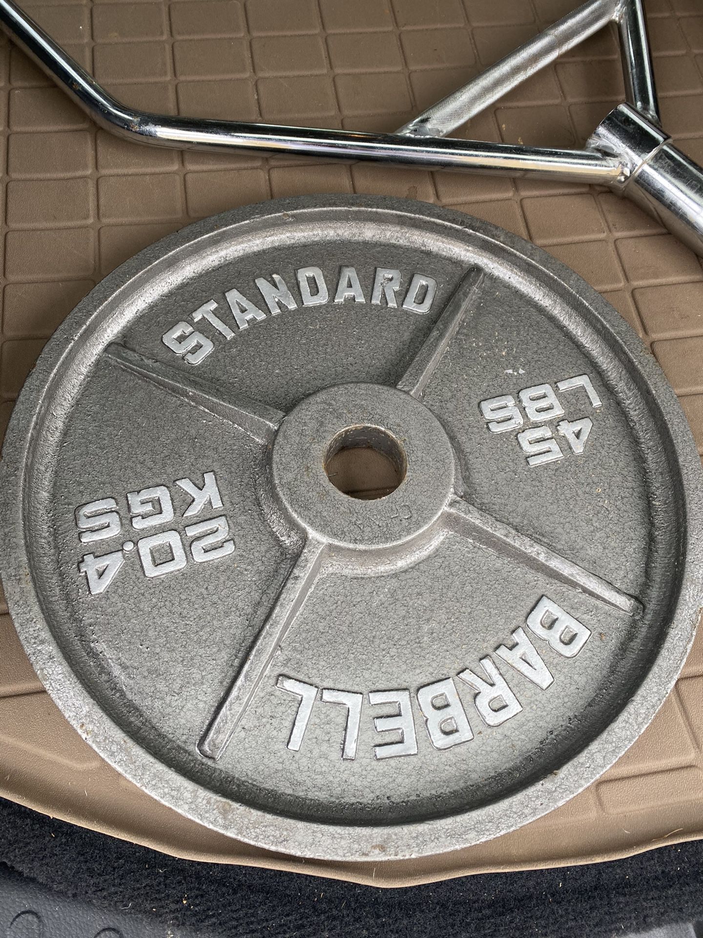 45 lb plate (1 plate)