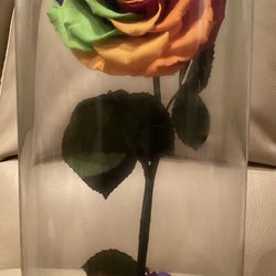 MOTHER’S DAY | PRESERVED ROSE BOX | RAINBOW | NEW | 