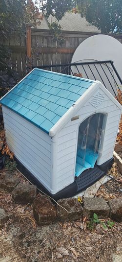 Beautiful Dog House