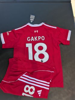Kids Liverpool soccer jersey