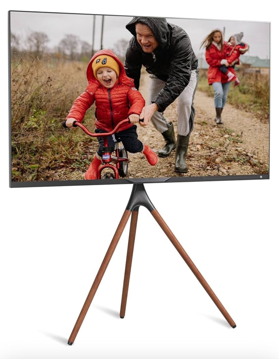 TV Mount 