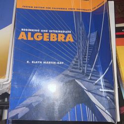Beginning And Intermediate Algebra 