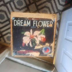 Antique Dream Flower Box