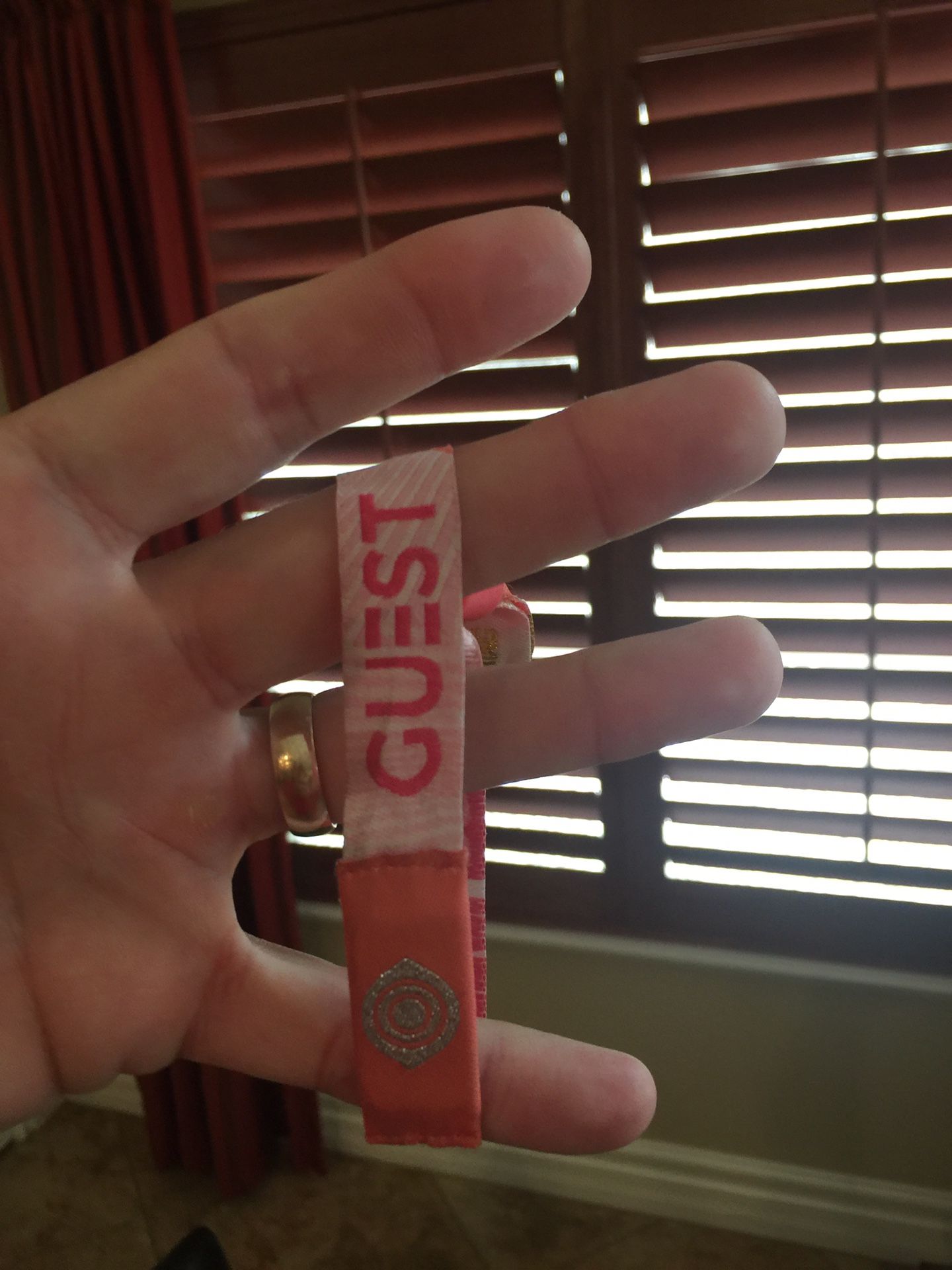 Guest pass for edc tonight $300