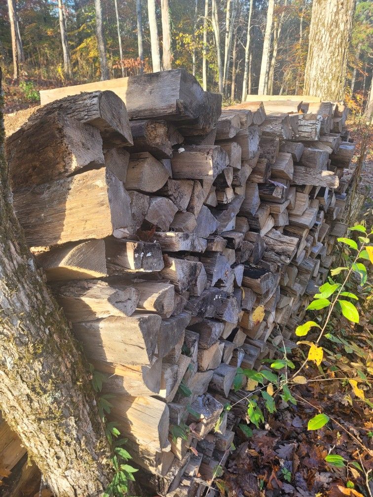 Seasoned Firewood 🔥 