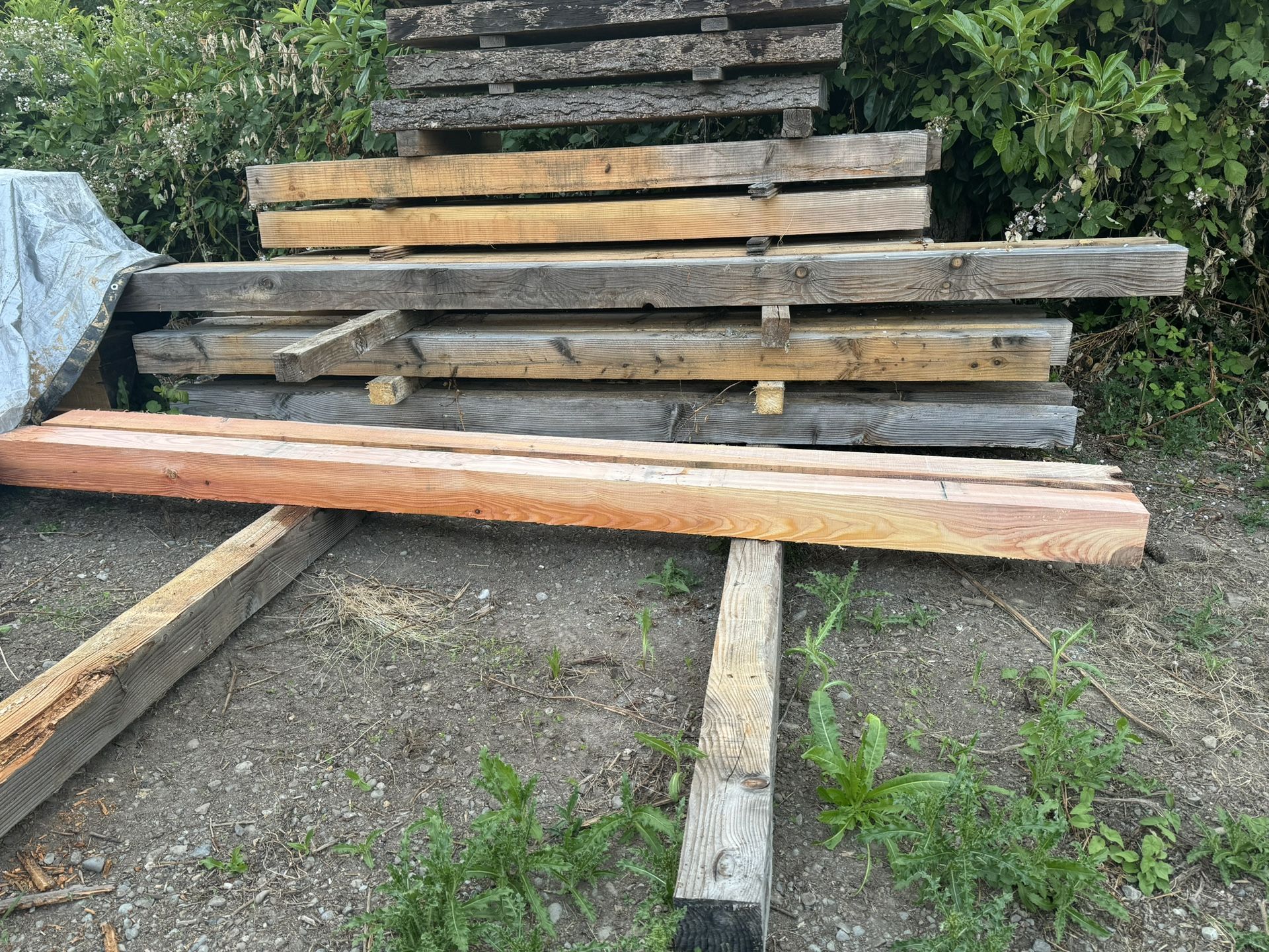 6x6x10 Douglas Fir 🌲 Timbers