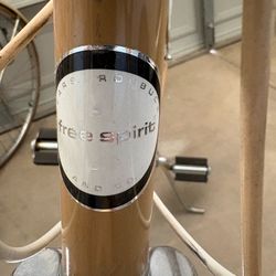 Vintage Sears Free Spirit Ten Speed Bicycles, His and Hers.