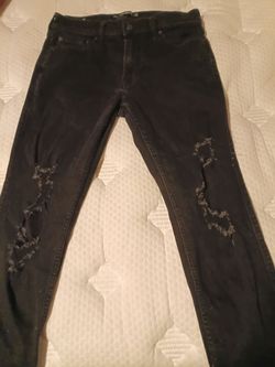 Hollister pants