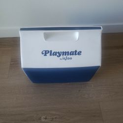 Igloo Ice Chest 