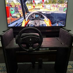 ThrustMaster T80 RS PS4/PS3