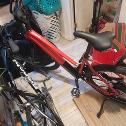 Alpha Eletric Bike ($1800)