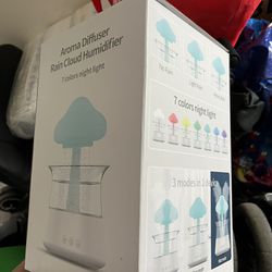 Diffuser Rain Cloud Humidifier