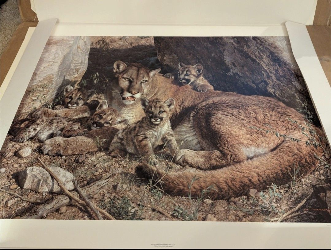 Bev Doolittle Cougar Family Print, Not Framed