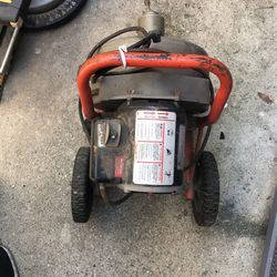 Snake For Home Or Business 