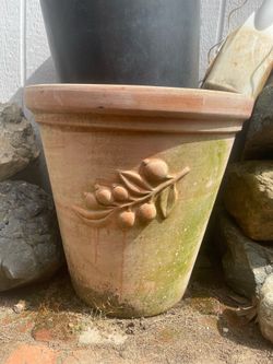 Nice plant pots